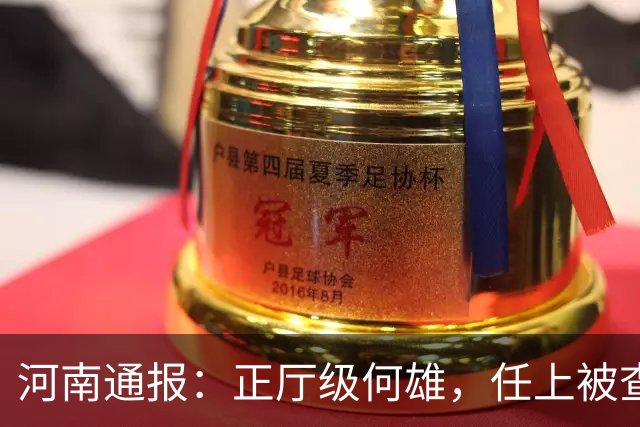 河南通报：正厅级何雄，任上被查